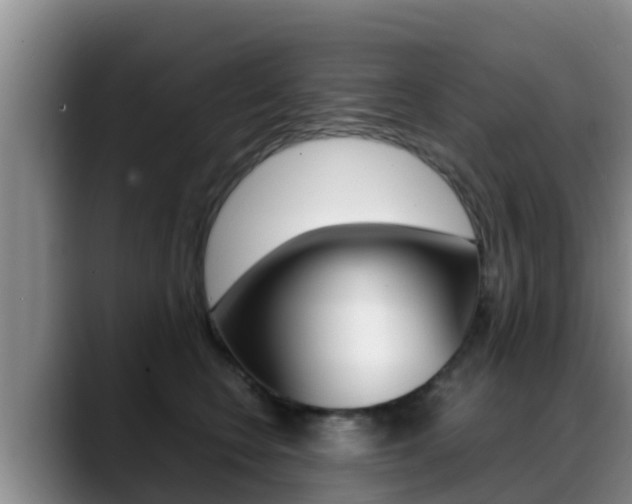 X0000089430566200706151024