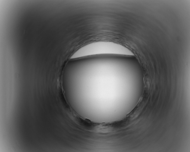 X0000089430568200706151024