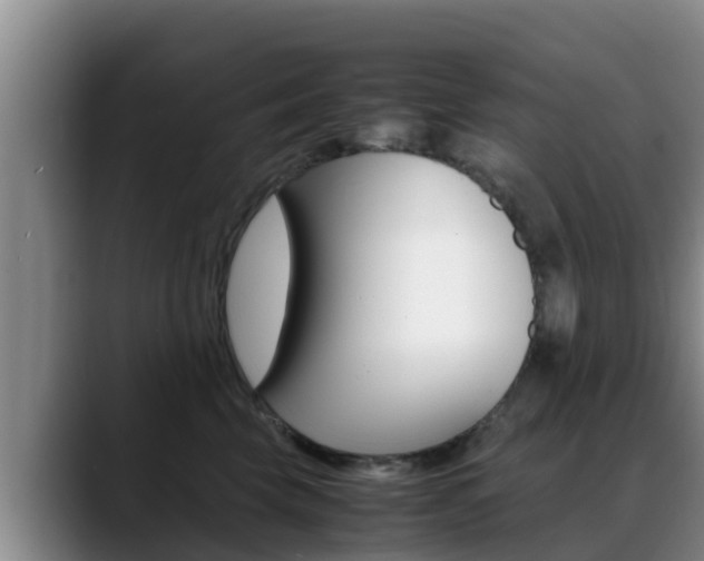 X0000089430569200706151024
