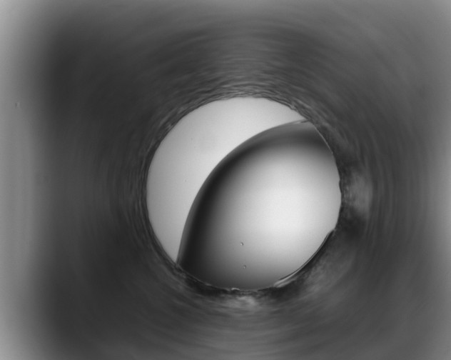 X0000089430572200706151024