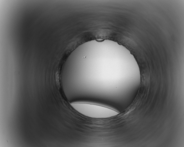 X0000089430575200706151024