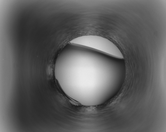 X0000089430576200706151024