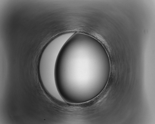 X0000089430577200706151023