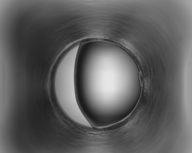 X0000089430580200706151023