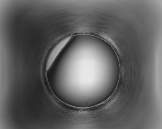 X0000089430581200706151023