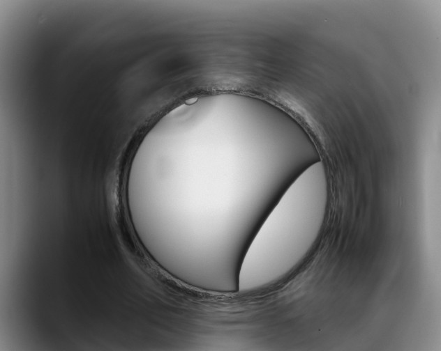 X0000089430582200706151023