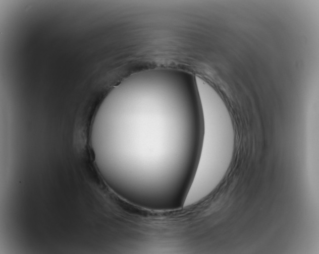 X0000089430593200706151023