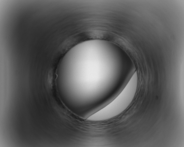 X0000089430600200706151023
