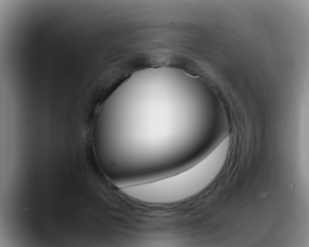 X0000089430601200706151023