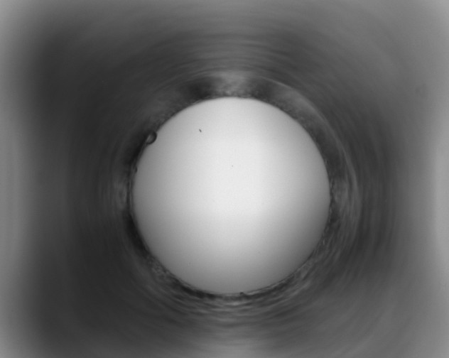 X0000089430602200706151023