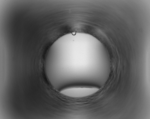 X0000089430603200706151023