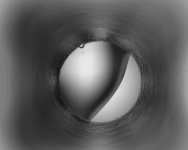 X0000089430608200706151023