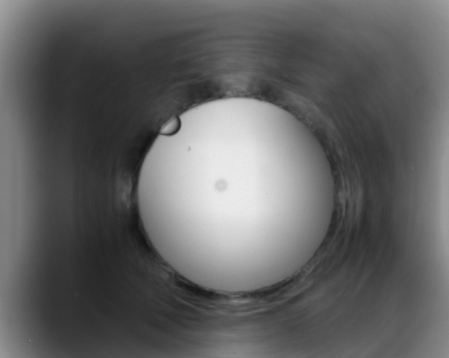 X0000089430610200706151023
