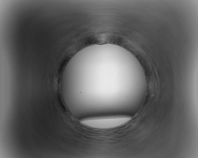 X0000089430611200706151023