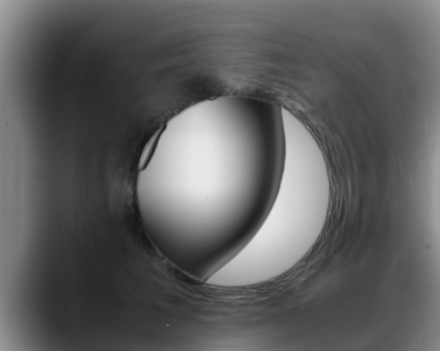 X0000089430613200706151023