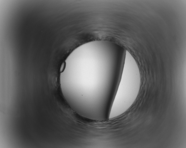 X0000089430615200706151023