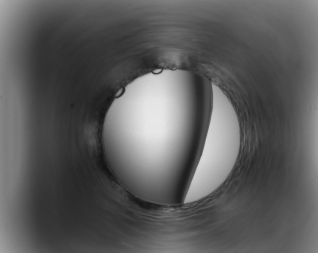 X0000089430616200706151023