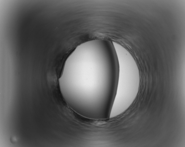 X0000089430617200706151023