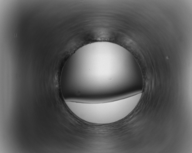 X0000089430620200706151023