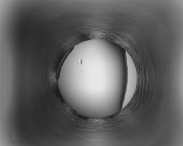 X0000089430621200706151023