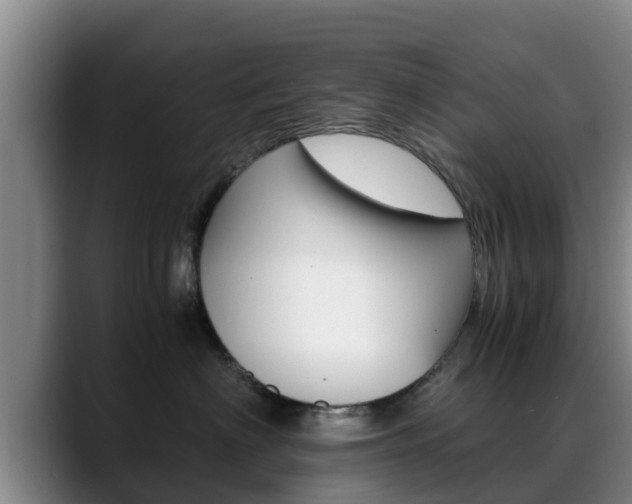X0000089430622200706151023