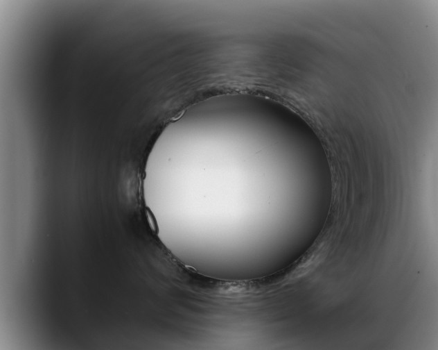 X0000089430624200706151023