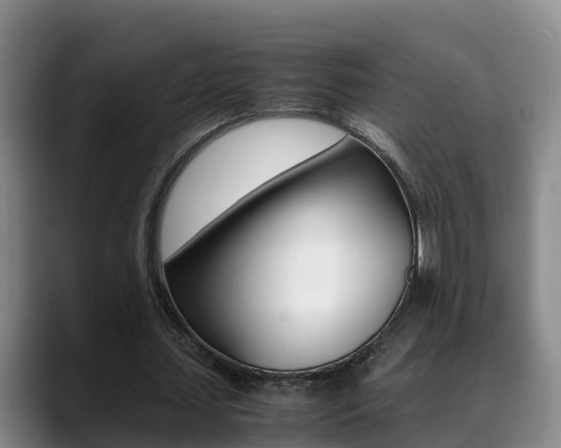 X0000089430627200706151022
