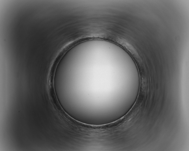X0000089430628200706151022