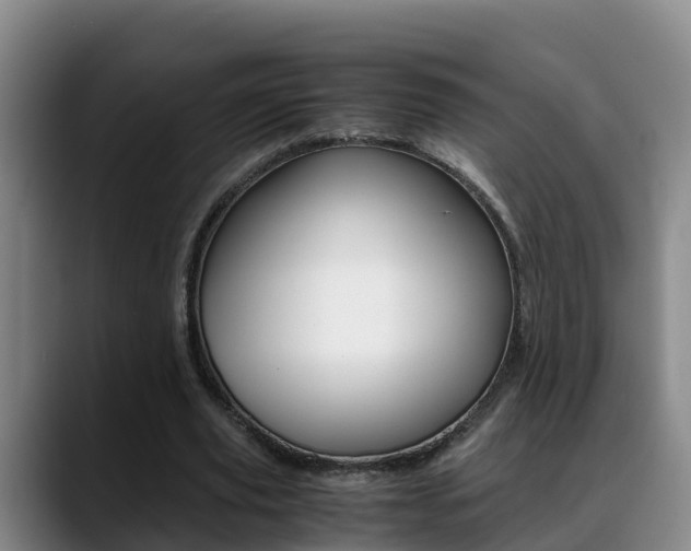X0000089430629200706151022