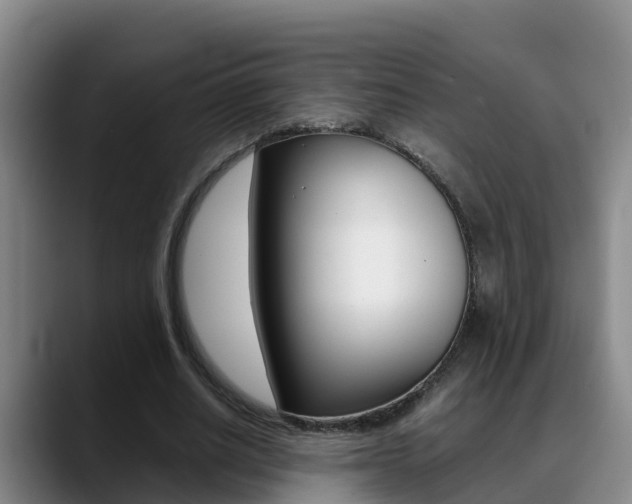 X0000089430630200706151022
