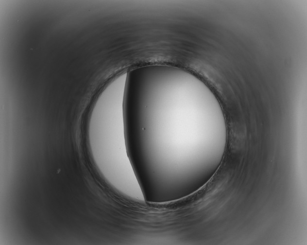 X0000089430631200706151022