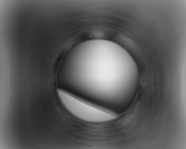 X0000089430645200706151022