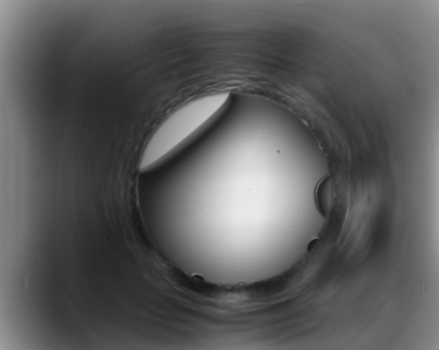 X0000089430653200706151022