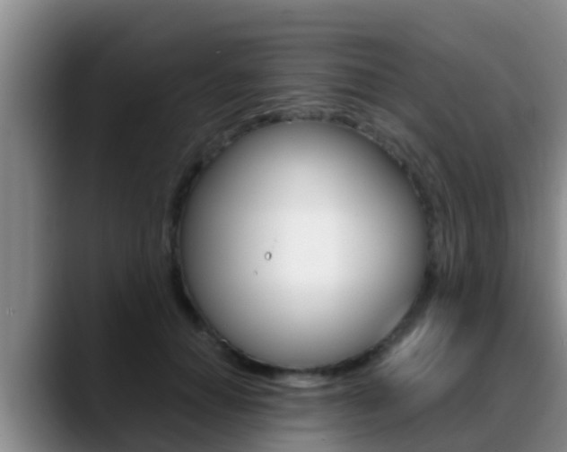X0000089430654200706151022