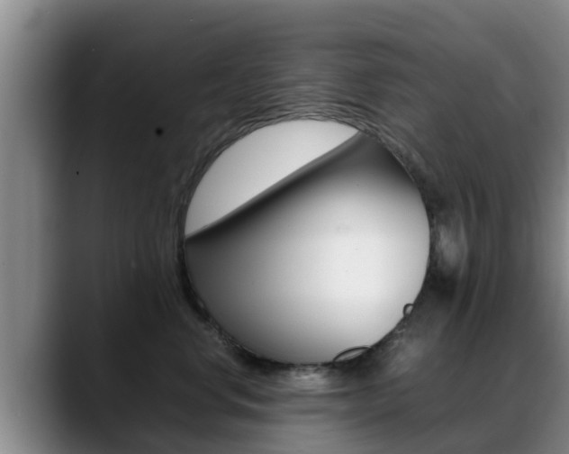 X0000089430668200706151023