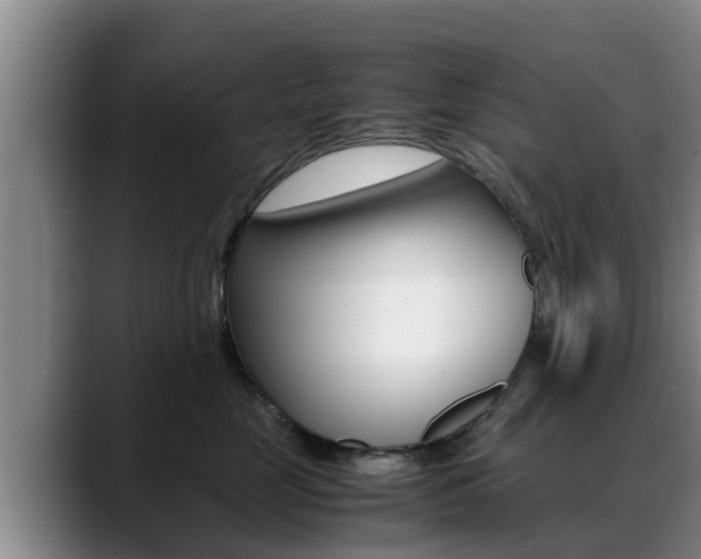 X0000089430669200706151023