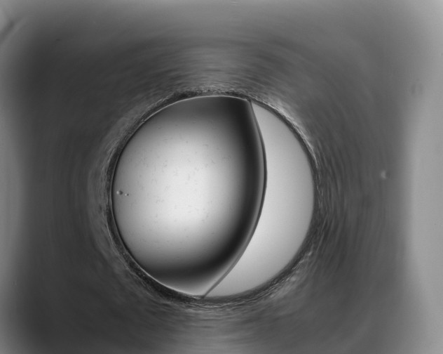 X0000089430673200706151022