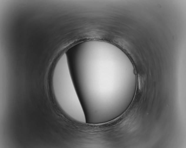 X0000089430675200706151022