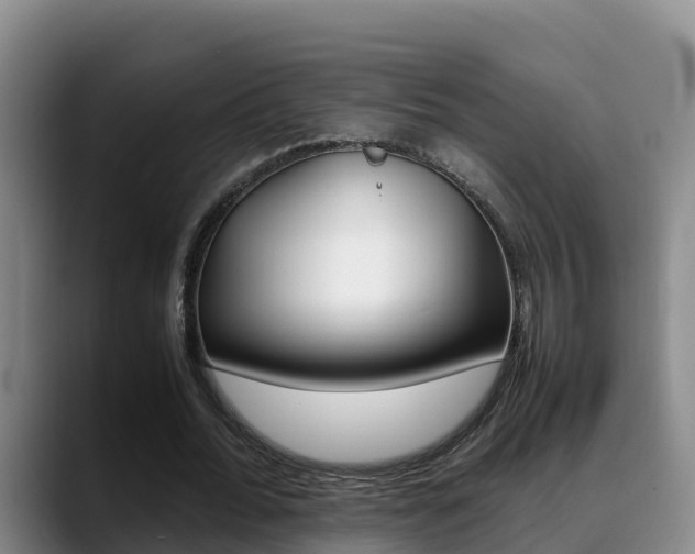 X0000089430676200706151022
