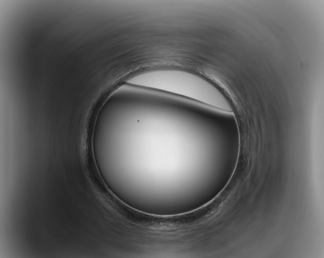 X0000089430677200706151022