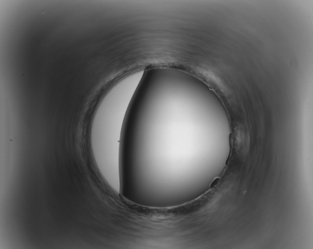 X0000089430684200706151022