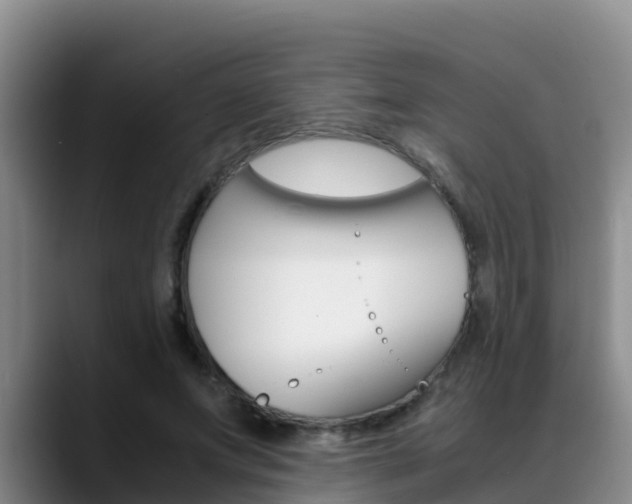 X0000089430687200706151022