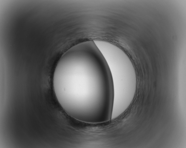 X0000089430689200706151022