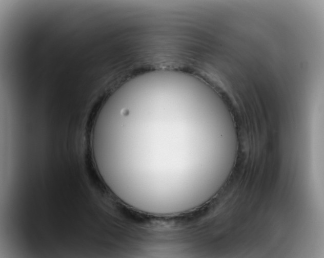 X0000089430690200706151022