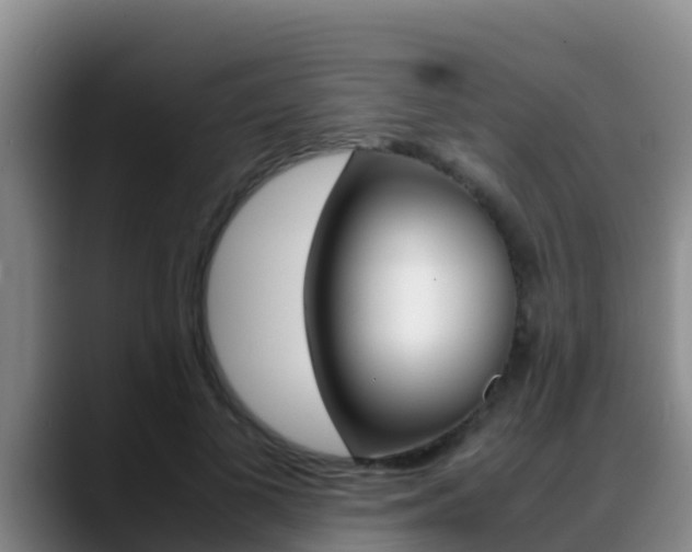X0000089430693200706151022