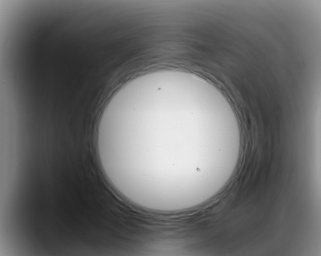 X0000089430701200706151022
