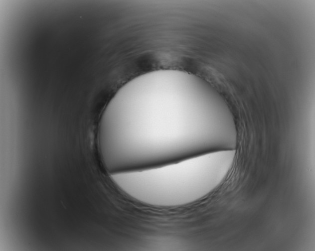 X0000089430703200706151022