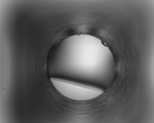 X0000089430715200706151021