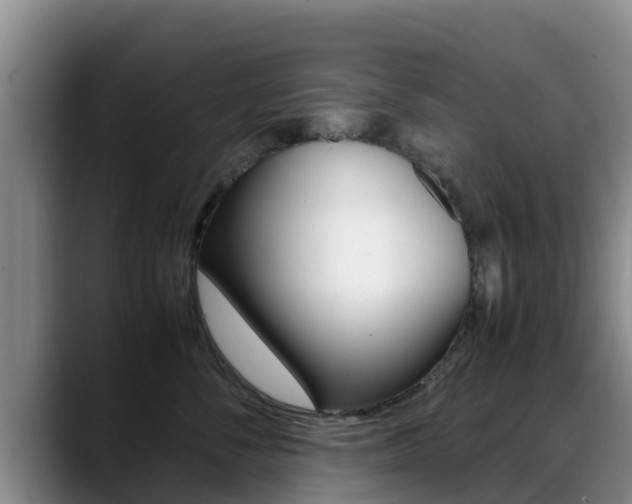 X0000089430716200706151021