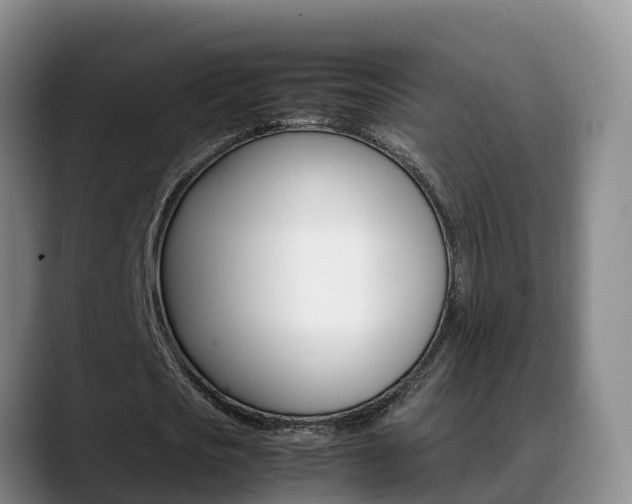 X0000089430721200706151021